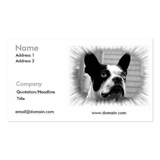 Boston Terrier Business Card (front side)