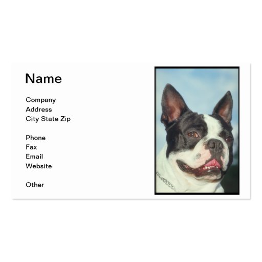 Boston Terrier Business Card (front side)