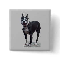 Boston Terrier buttons