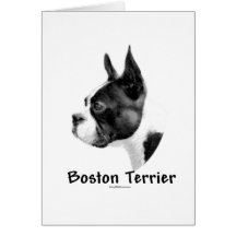 Boston Terrier Charcoal 2 Cards