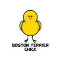 boston terrier chick magnet d1476526048696594027pdm 125 Cafepress, Zazzle and Printfection Shopkeeper woes and strategy