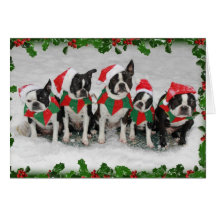 Boston Terrier Christmas Card