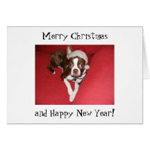 Boston Terrier Christmas Card