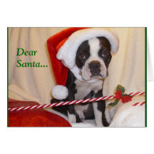 Boston Terrier Christmas Card