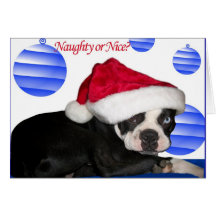 Boston Terrier Christmas Card