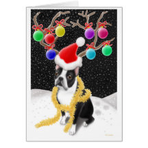 Boston Terrier Christmas Card
