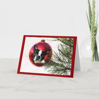 Boston Terrier Christmas Card Ball