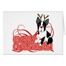Boston Terrier Christmas Greeting Card