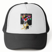 Boston Terrier Christmas Hat by twopurringcats Boston Terrier Christmas Hat
