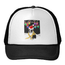 Boston Terrier Christmas Hat