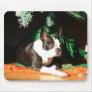 Boston Terrier Christmas Mouse Mat