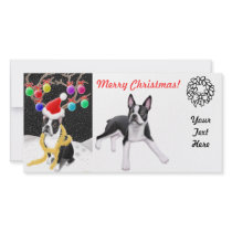 Boston Terrier Christmas Photo Card photo cards by twopurringcats Boston Terrier Christmas Photo Card photo cards