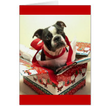 Boston Terrier Christmas Present Card