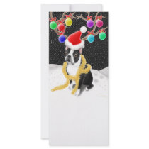 Boston Terrier Christmas Rack Card