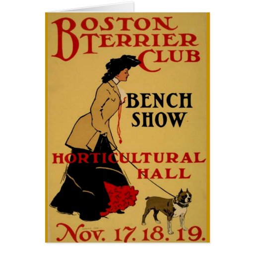 Boston Terrier Club Cards