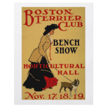 Boston Terrier Club Flyers