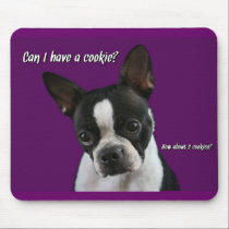 Boston Terrier:  Cookie please? mousepads