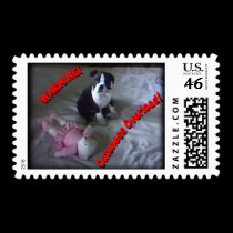 Boston Terrier:  Cuteness Overload! stamps