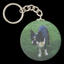 Boston Terrier:  Cutie Patootie keychains