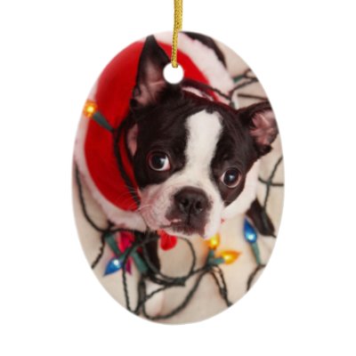 Boston Terrier Dog in Twinkling Lights Ornament