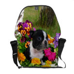 Boston Terrier dog Rickshaw messenger bag