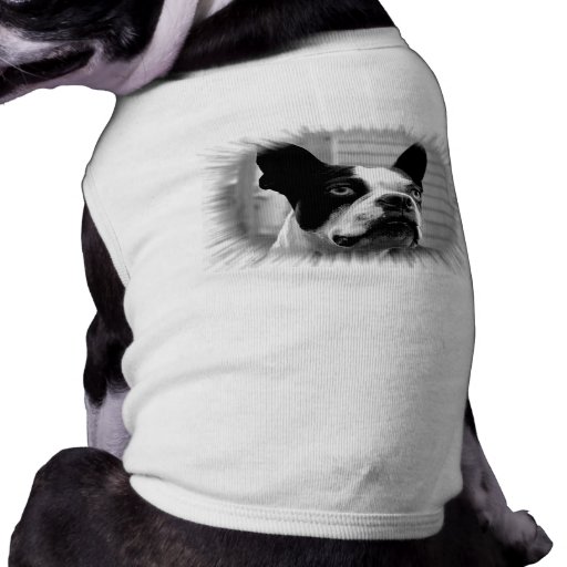 Boston Terrier Dog Shirt