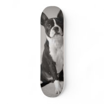 Boston Terrier Dog Skateboard
