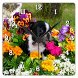 Boston Terrier dog square clock
