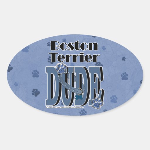 Boston Terrier DUDE Stickers