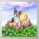 Boston Terrier Easter Surprise Poster