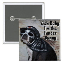 Boston Terrier:  Fender Bunny Buttons
