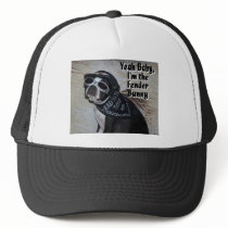 Boston Terrier: Fender Bunny hats by wigglebutthut Boston Terrier: Fender Bunny hats