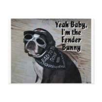 Boston Terrier: Fender Bunny postcards by wigglebutthut Boston Terrier: Fender Bunny postcards