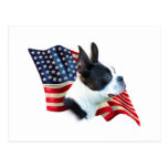 Boston Terrier Flag Postcard