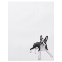 Boston Terrier Flyer