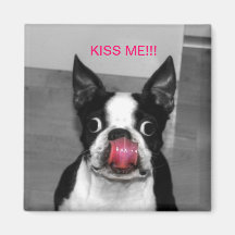 BOSTON TERRIER FRIDGE MAGNET
