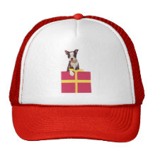 Boston Terrier Gift Box Mesh Hat