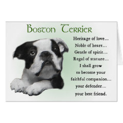 Boston Terrier Gifts card