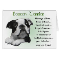 Boston Terrier Gifts cards