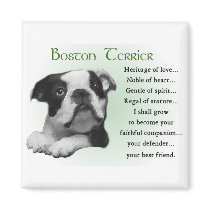Boston Terrier Gifts magnets