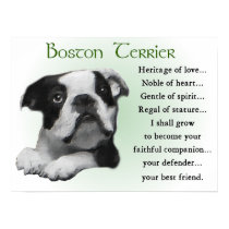 Boston Terrier Gifts posters