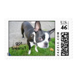 Boston Terrier Got Treats? stamp stamps