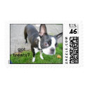Boston Terrier Got Treats? stamp by puppydogs Boston Terrier Got Treats? stamp