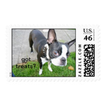 Boston Terrier Got Treats? stamp stamps