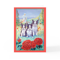 Boston Terrier Greeting Cards