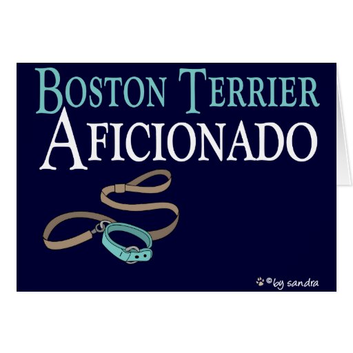Boston Terrier Greeting Cards