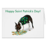 Boston Terrier Happy St. Patrick's Day Card