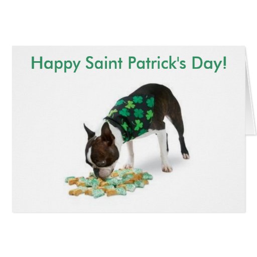 Boston Terrier Happy St. Patrick's Day Card