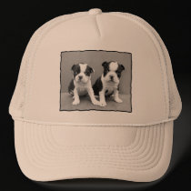 Boston Terrier hat hats