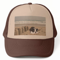 Boston Terrier Hat Sandcastles by normagolden Boston Terrier Hat Sandcastles